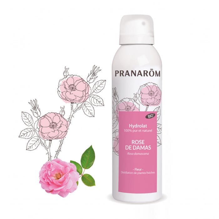 Rose de Damas