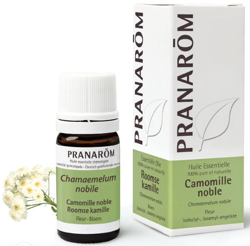 Camomille noble (5 ml)