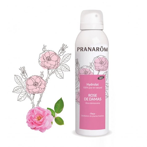 Rose de Damas